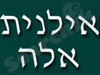 אילנית אלה 