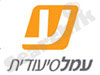 עמל סיעודית