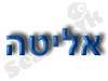 אליטה תרגום סימולטני 