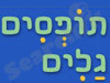 תופסים גלים 