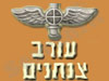 עורב צנחנים