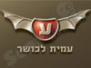 עמית לכושר 
