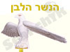 הנשר הלבן