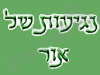 נגיעות של אור 