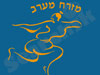 מזרח מערב 