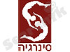 סינרגיה 