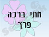 אתי ברכה פרץ