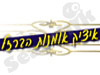 איציק אמנות הברזל 