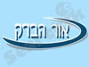 אור הברק