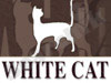 White Cat אסתטיקה בנקיון 