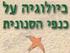 ביולוגיה על כנפי הסנונית 