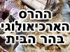 ההרס הארכיאולוגי בהר הבית