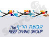 מרינה דיוורס