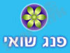 פנג שואי