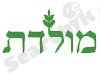 מולדת 