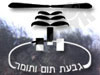 גבעת תום ותומר 