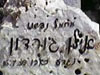 אילן גורדון