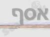 אסף לביא 1974-2000
