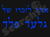 לזכרו של גלעד פלד 