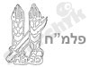 פלמ``ח