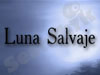 Luna Salvaje