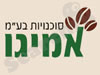 אמיגו