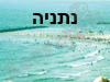 בתי מלון בנתניה