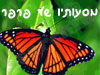 מסעותיו של הפרפר 