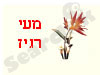 המעי הרגיז