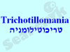 טריכוטלומניה