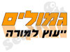 גמולים - ייעוץ למורה 