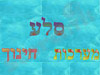 סלע מערכות חינוך