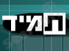 תמיד 
