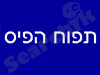 תפוח הפיס 