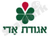 אגודת אדי 