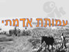 עמותת אדמתי 