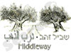 שביל זהב 