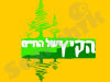 הקיץ של החיים