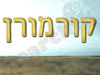 קורמורן 