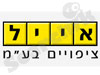אייל ציפויים