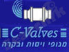 שיא מגופים