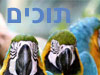 תוכים ממיטב המגדלים