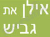 אילן את גביש