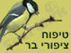 טיפוח ציפורי בר
