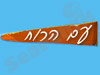 עם הרוח 
