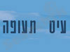 עיט תעופה 