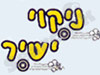 ניקוי ישיר