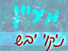 מעיין - ניקוי יבש 
