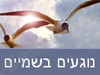נוגעים בשמיים