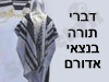 דברי תורה - בנצי אדורם